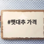 햇대추 가격 1kg 시세와 제철 정보 총정리 햇대추 가격