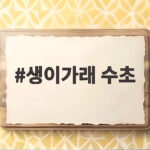 생이가래 수초 한번 키우면 멈출수 없는 이유와 관리법 생이가래 수초