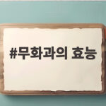무화과의 효능
