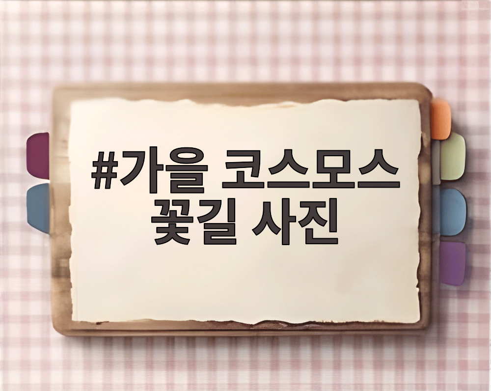 가을 코스모스 꽃길 사진