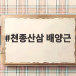 천종산삼 배양근 명절 선물 고민 이제 해결하세요 천종산삼 배양근