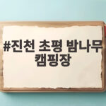 진천 초평 밤나무 캠핑장