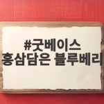 굿베이스 홍삼담은 블루베리