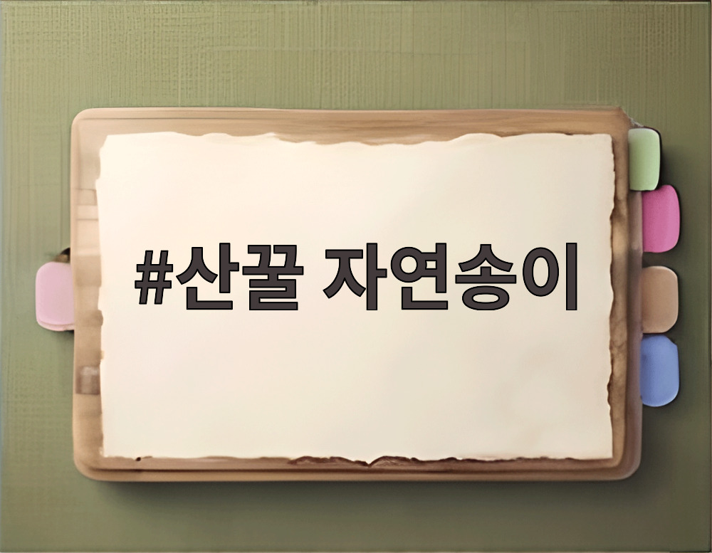 산꿀 자연송이