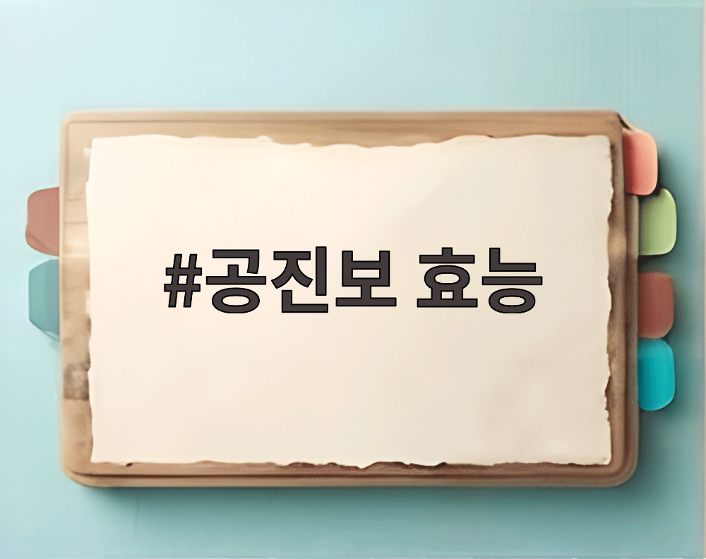 공진보 효능