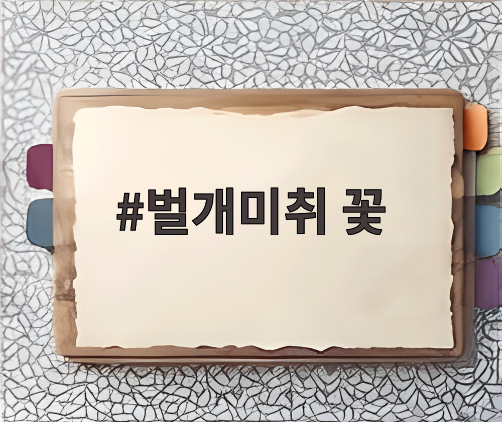 벌개미취 꽃