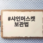 샤인머스켓 보관법 이것만 기억하면 한 달 넘게 아삭하게 먹어요 샤인머스켓 보관법