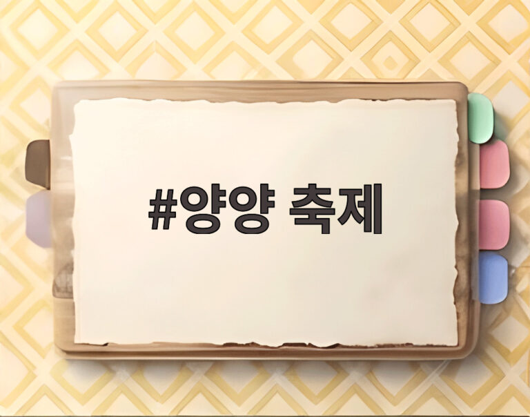 양양 축제