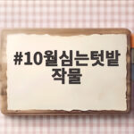 10월심는텃밭 작물 이것만 심으면 가을밥상 든든해집니다 10월심는텃밭 작물