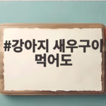 강아지 새우구이 먹어도 괜찮을까 안전하게 주는 방법 강아지 새우구이 먹어도