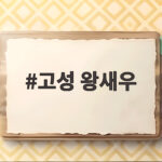 고성 왕새우 제철 맛집에서 가을 소금구이와 버터구이 즐기기 고성 왕새우
