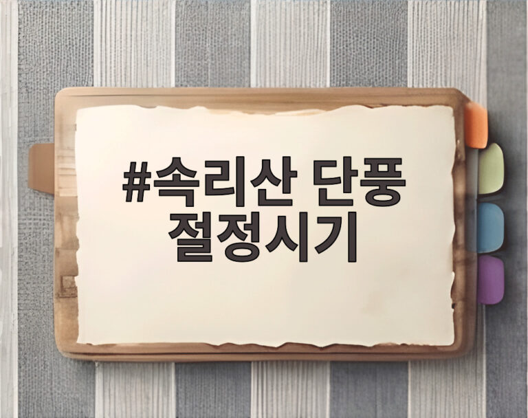 속리산 단풍 절정시기