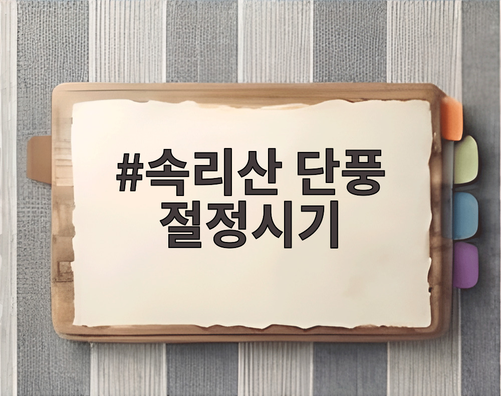 속리산 단풍 절정시기