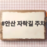 안산 자락길 주차 걱정 없이 서울 도심 힐링 숲길 즐기는 방법 안산 자락길 주차