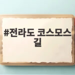 전라도 코스모스 길 절정 시기와 사진 명당 총정리 전라도 코스모스 길