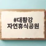 대황강 자연휴식공원 코스모스 절정 시기와 가을 나들이 준비법 대황강 자연휴식공원