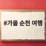 가을 순천 여행 1박 2일 뚜벅이 코스와 갈대밭 일몰 명당 가을 순천 여행