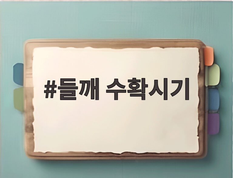 들깨 수확시기