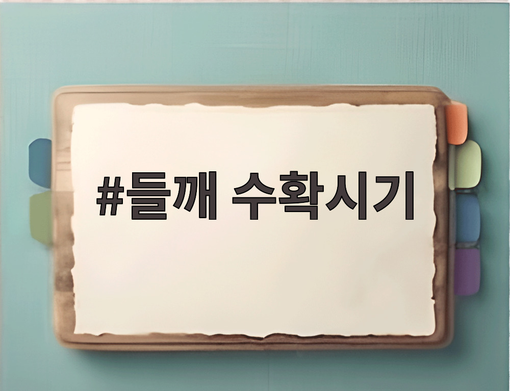 들깨 수확시기