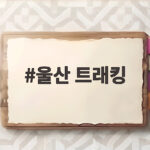 울산 트래킹