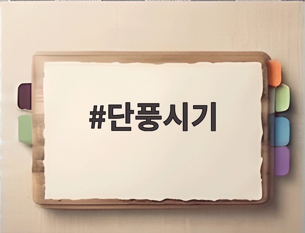 단풍시기