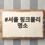 서울 핑크뮬리 명소
