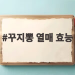 꾸지뽕 열매 효능