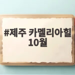 제주 카멜리아힐 10월 개화 시기와 방문 팁 정리 제주 카멜리아힐 10월