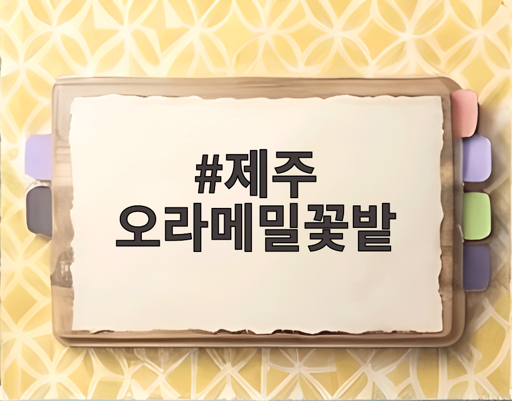 제주 오라메밀꽃밭