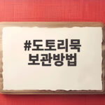 도토리묵 보관방법 냉장 보관만으로는 부족한 이유와 쫀득하게 되살리는 법 도토리묵 보관방법