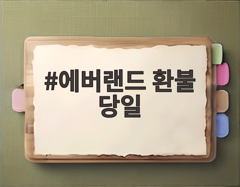 에버랜드 환불 당일