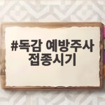 독감 예방주사 접종시기