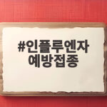 인플루엔자 예방접종