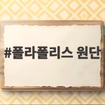 폴라폴리스 원단 어떤 제품에 어울릴까 궁금하시죠 폴라폴리스 원단