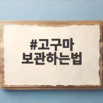 고구마 보관하는법