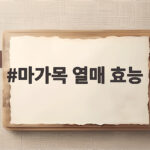 마가목 열매 효능