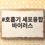 호흡기 세포융합 바이러스