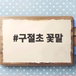 구절초 꽃말