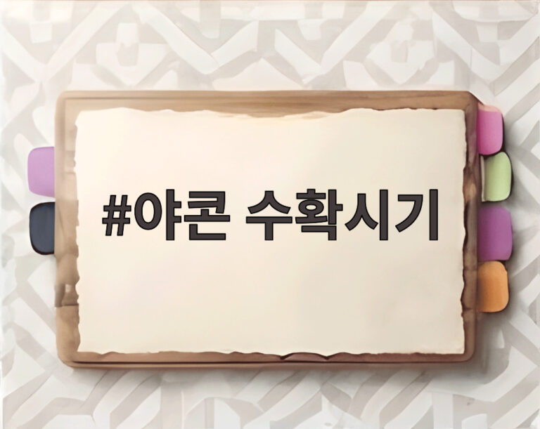 야콘 수확시기