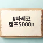 파세코 캠프5000n