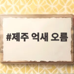 제주 억새 오름 가을 여행지 고르는 방법과 일정 팁 제주 억새 오름