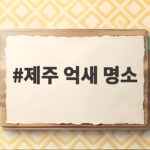 제주 억새 명소 5곳 가을 산책 코스 비교해 드릴게요 제주 억새 명소