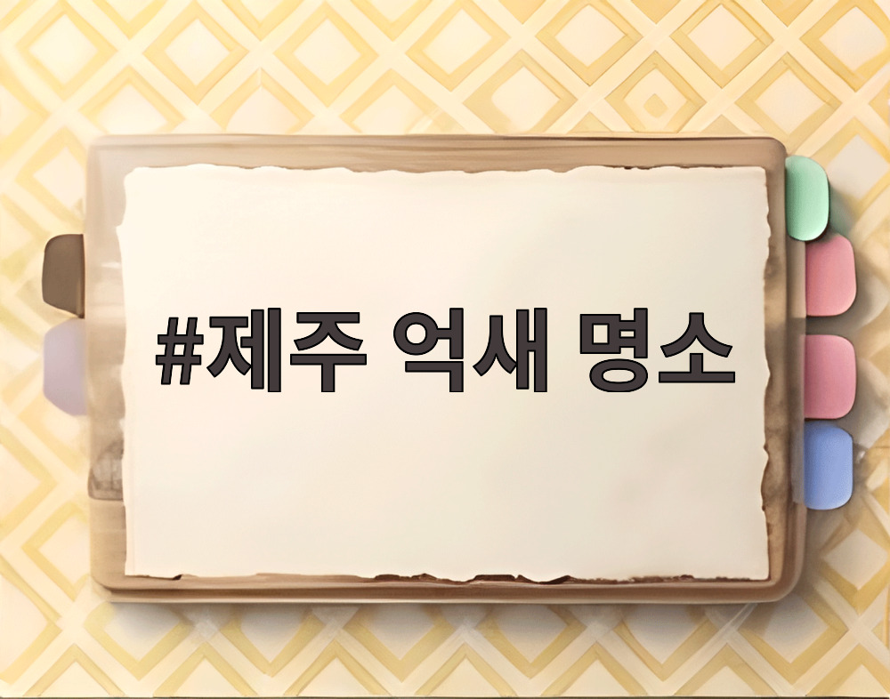 제주 억새 명소