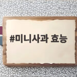 미니사과 효능