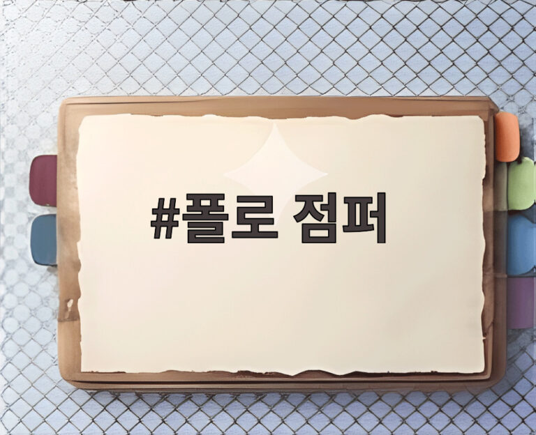 폴로 점퍼