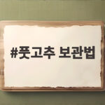 풋고추 보관법