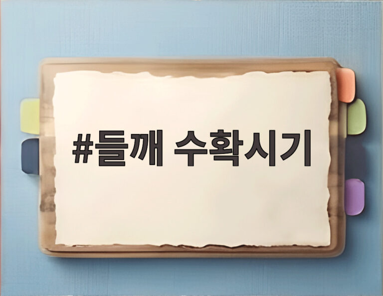 들깨 수확시기