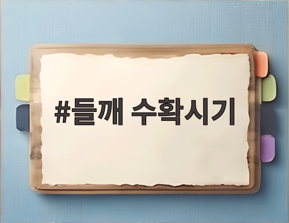 들깨 수확시기