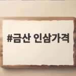 금산 인삼가격 10월 축제 시세와 수삼 고르는 법 총정리 금산 인삼가격