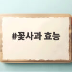 꽃사과 효능부터 먹는 법까지 작은 사과의 건강 비밀 꽃사과 효능
